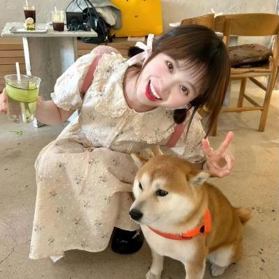 闪婚总动员